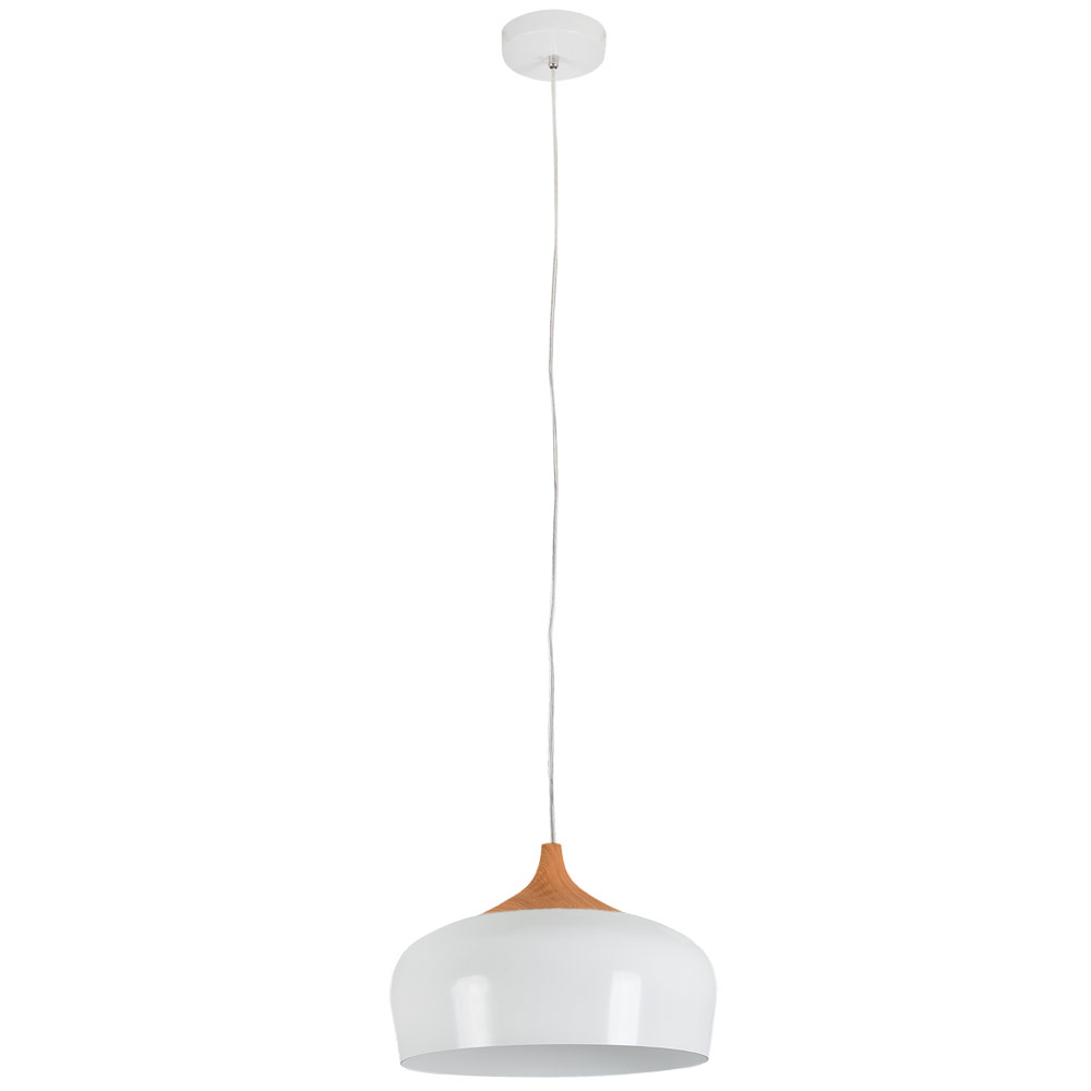 Steel and Aluminium Pendant