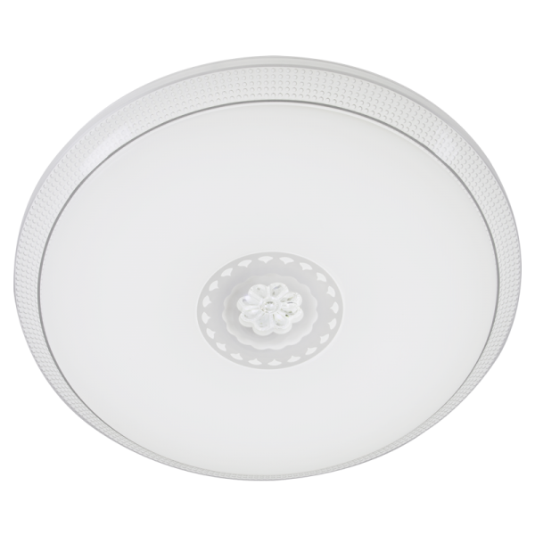LED Metal and Acrylic Fitting 24W