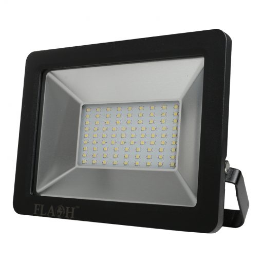 50W LED Floodlight