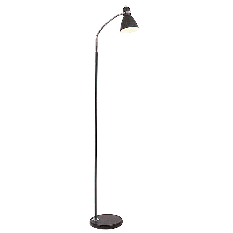 Floor Light with Flexible Head