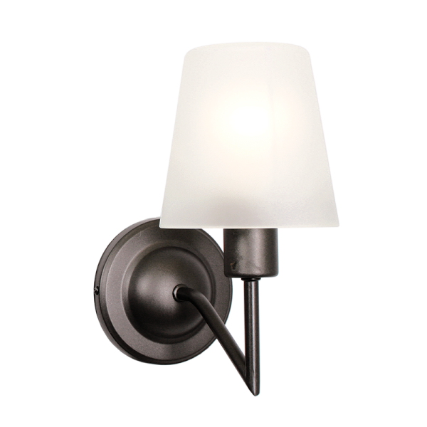 Metal and Glass Wall Light
